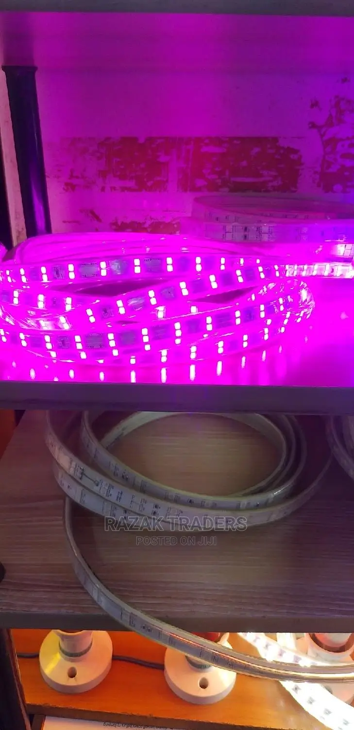 Strip Lights in Pink Colors