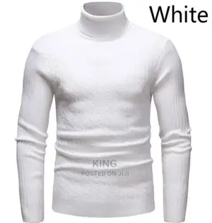 Vivid Fine Pullneck Sweaters