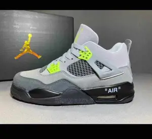 Ladies Jordan 4