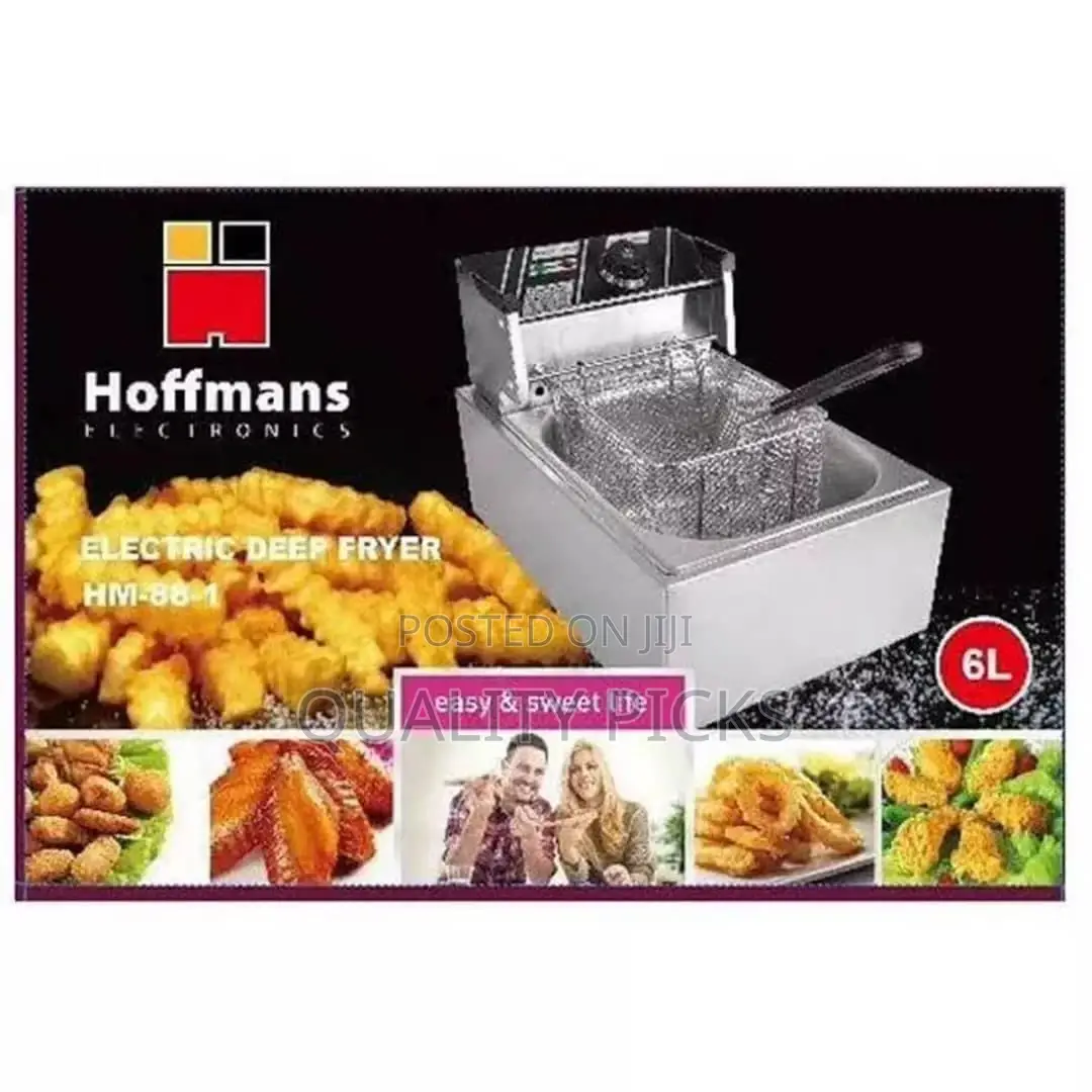 Hoffman's Electric Deep Fryer