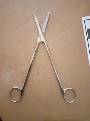 Bebcock Forceps 18cm