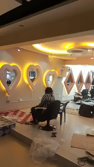 Modern Gypsum Ceiling