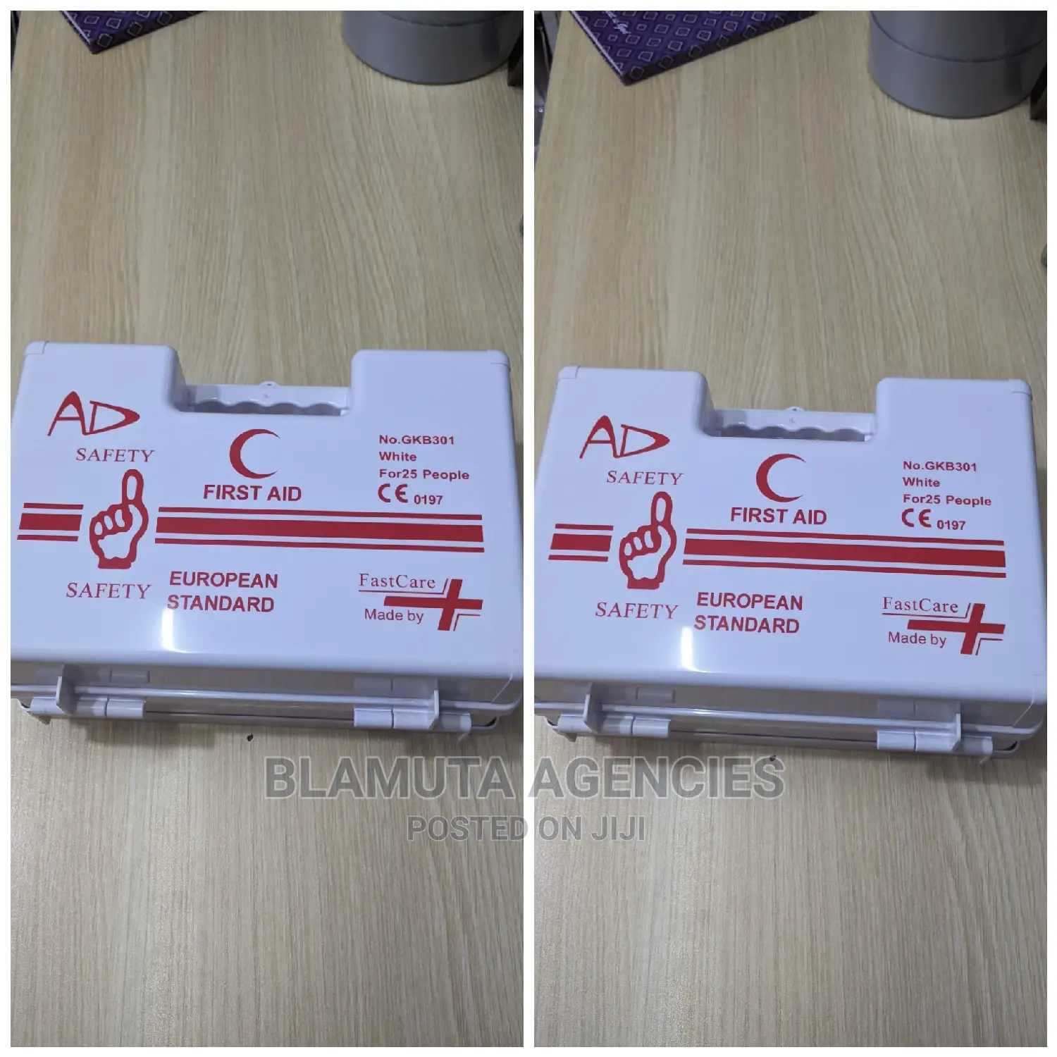First Aid Kit (25 People Kit)