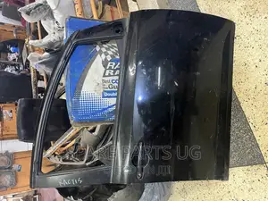 Toyota Ractis Front Door