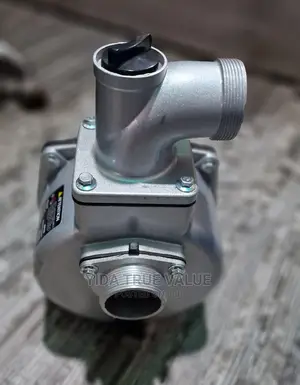 Water Pump With a Pulley