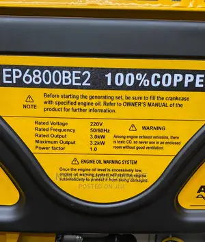 Easy Power Automatic Starter Generator / Generator