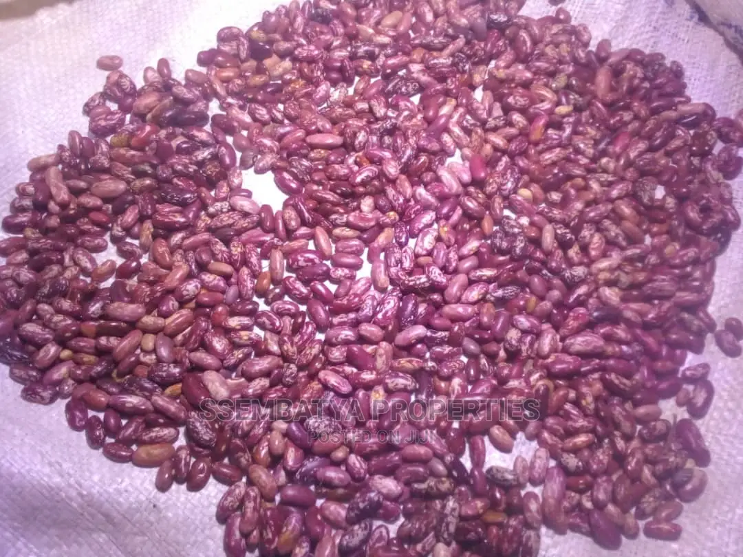 First Class Beans, Maize, Maize Flour, Rice, Coffee , Salt