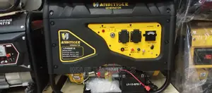 Andi Tiger Petrol Generator Lf4500e-B