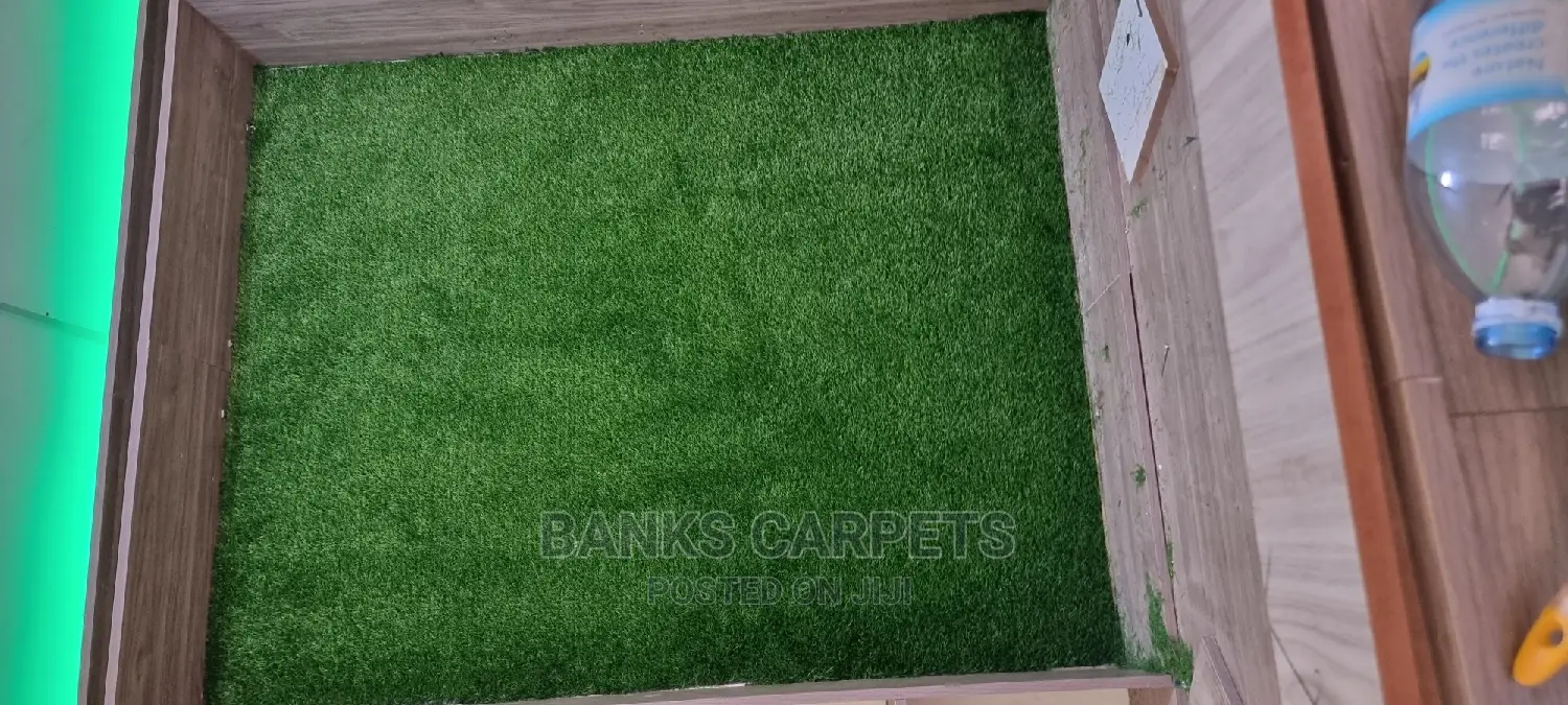Artificial Grass