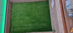 Artificial Grass