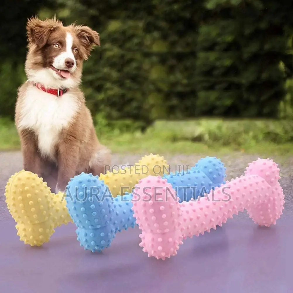 Eco-Friendly Rubber Silicone Bone Pet