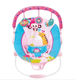 Baby Bouncer / Rocker