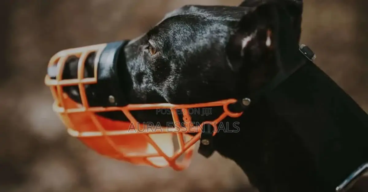 High Quality Dog Muzzles