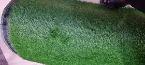 Artificial Grass