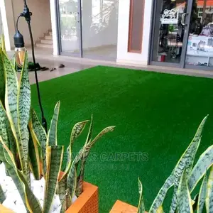 Artificial Grass