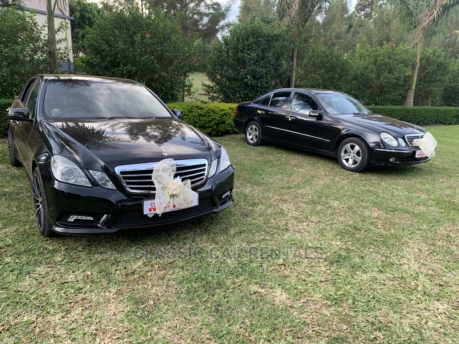 Luxurious and Elegant Cars for Hire