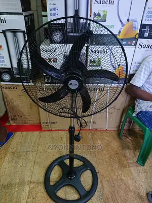 Stand Fan Black