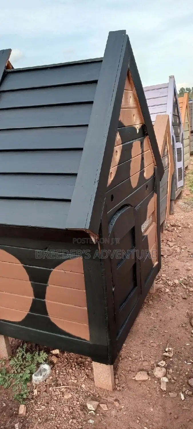 Dog Kennels