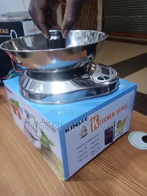 Household Potable Kitchen Scale