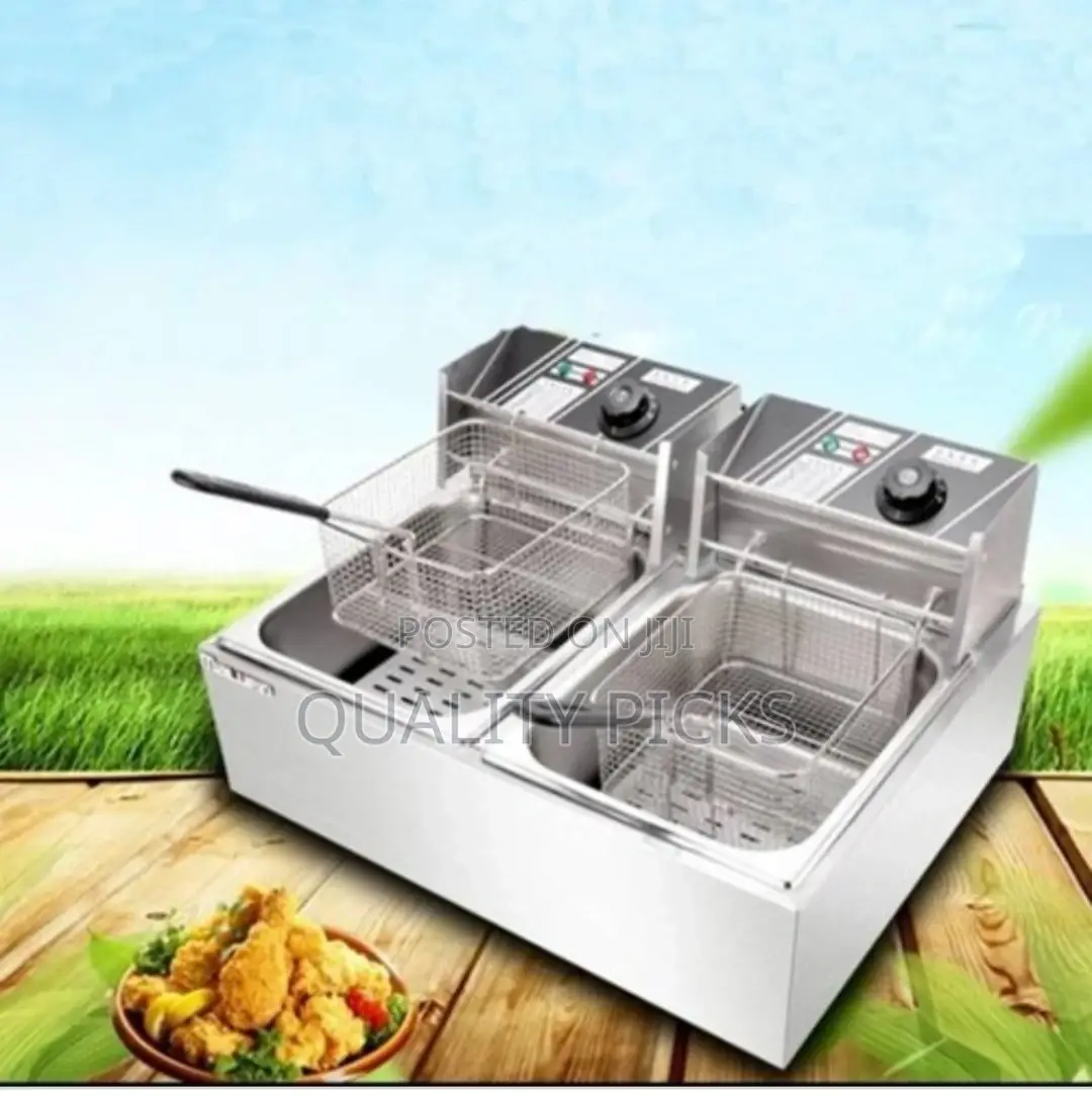 Double Electric Deep Fryer