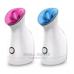 Facial Steamer