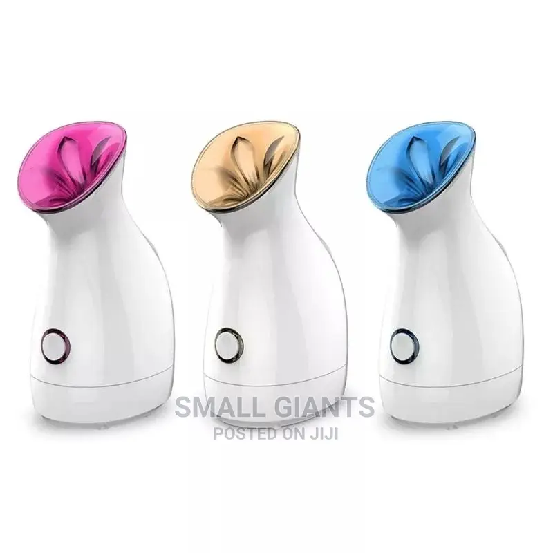 Facial Steamer
