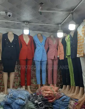 Classic Ladys Suits