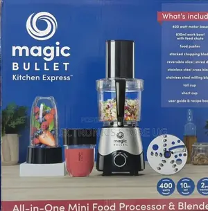 Magic/Nutri Bullet Mini Food Processor Blender