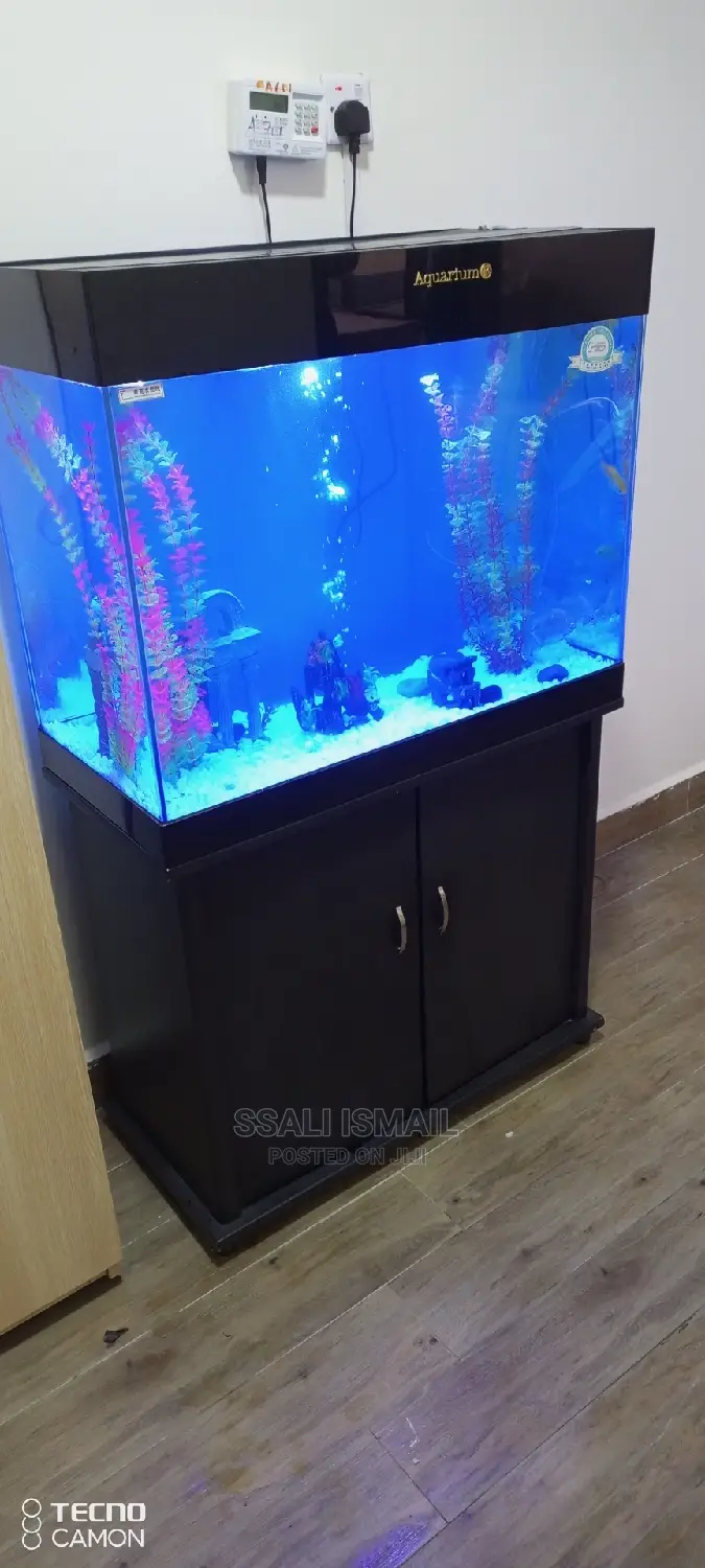 Best Aquarium Best Plants Best Air Pump