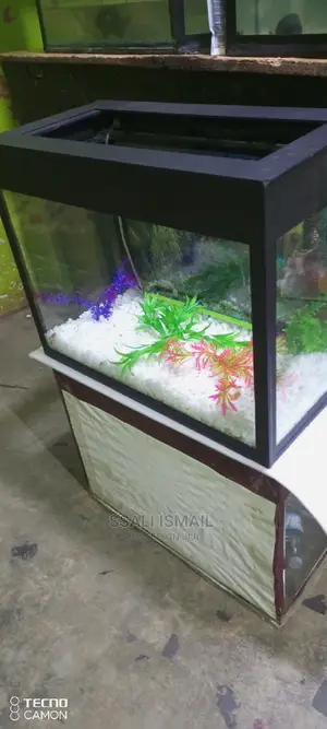 Medium Sized Black Aquarium