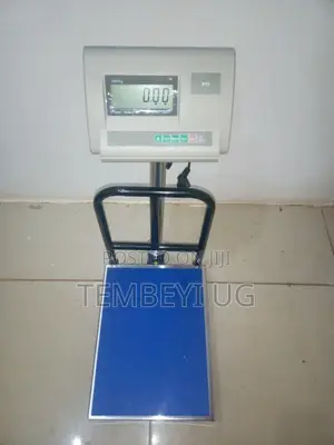Accurate Platform Weighing Scale 500kg