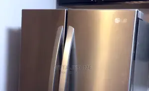 LG Fridge Repairs (Professional Technician)