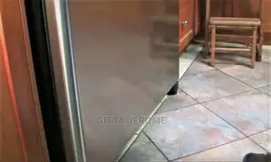 LG Fridge Repairs (Professional Technician)