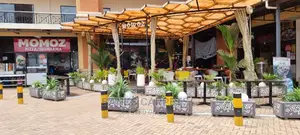 Artificial Grass