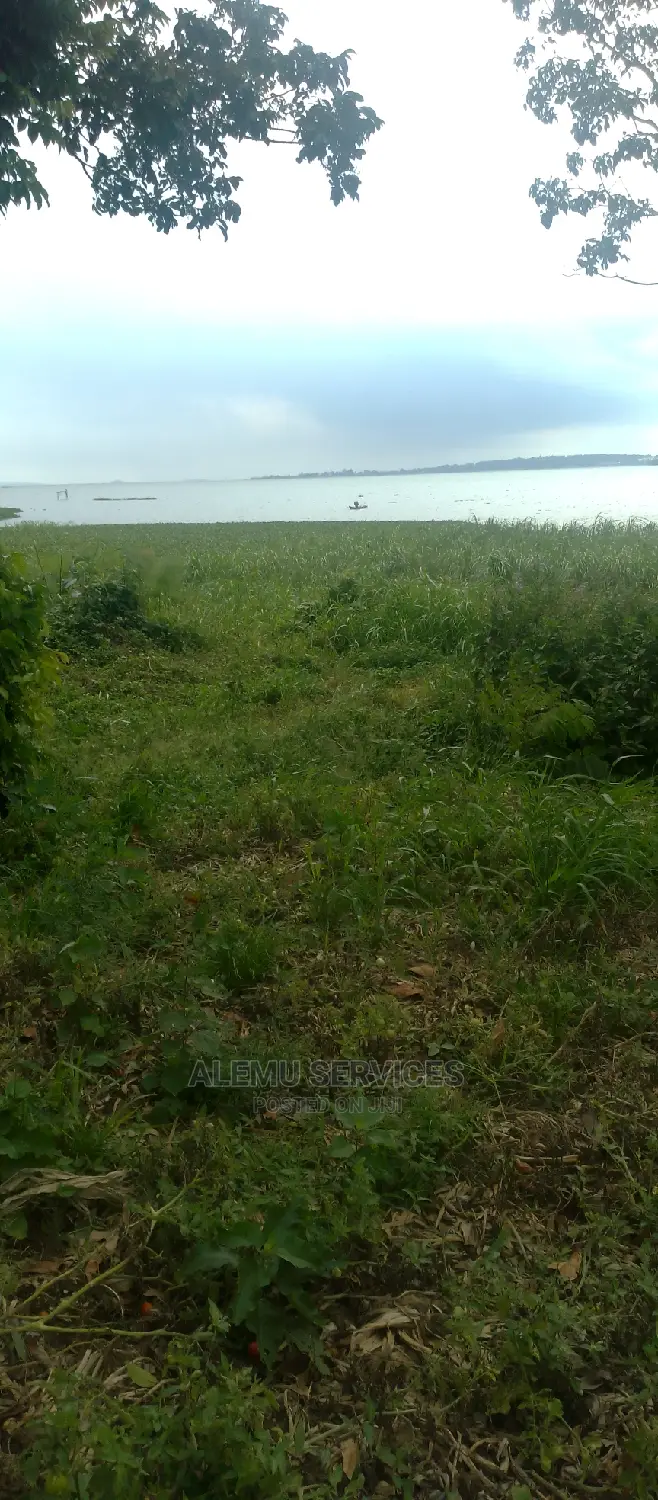 Land on Sell in Kisubi, Entebbe