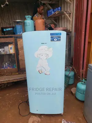 Fridge Repair and Maintenance.
