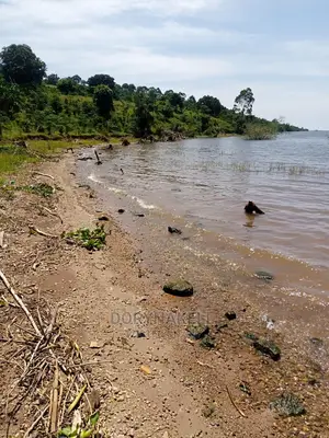 60 Lakefront Acres in Buikwe,At 35m Each