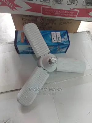 Fun Bulb /Bulb