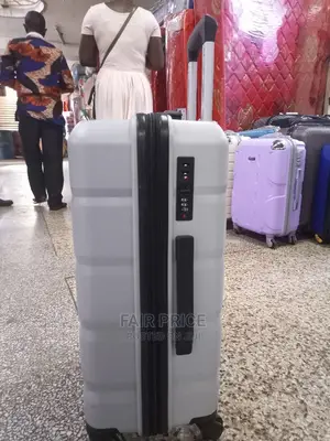 Plastic Suitcases (Gray)