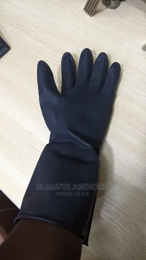 Cleaning Gloves (B