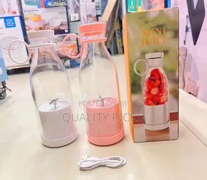 Mini Juicer
