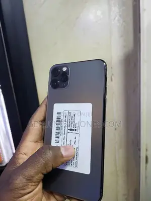 Apple iPhone 11 Pro Max 256 GB Gray