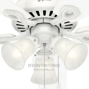 Ceiling Fan With Lights VIP