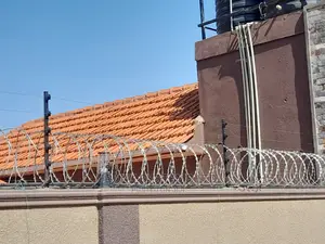 Electric Fence System With With Razor Wire