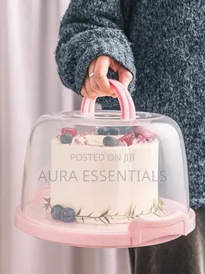 Portable Cake Box