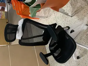 Ergonomic Office Chair