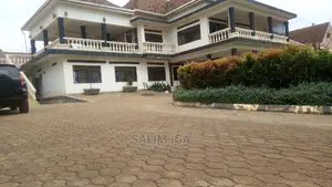 Magnificent Building 