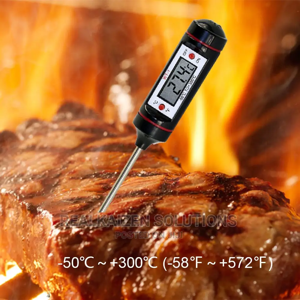 ELITECH WT-1 Digital Thermometer Long Probe for All Food