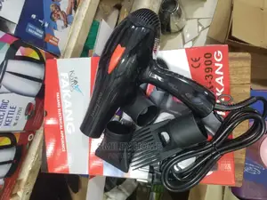 Original Hair Dryer