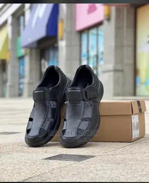 Men's Clarks
